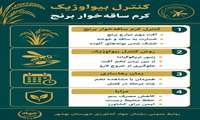 کنترل بیولوژیک کرم ساقه‌خوار برنج 