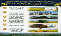 تحقق حماسه تولید در قطب کشاورزی شرق مازندران/ آغاز عملیات خرید دانه‌های طلایی کلزا در بهشهر 