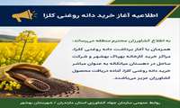 اطلاعیه آغاز خرید دانه روغنی کلزا