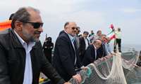  آغاز نخستین برداشت ماهی آزاد دریای خزر از قفس دریایی در مازندران 