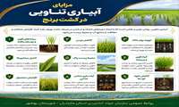 مزایای آبیاری تناوبی در کشت برنج