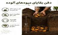 پیشگیری از مگس میوه مدیترانه‌ای 