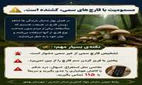 مسمومیت با قارچ های سمی کشنده است
