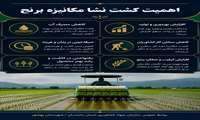 اهمیت نشا مکانیزه برنج 