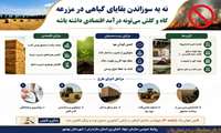 نه به سوزاندن بقایای گیاهی در مزرعه