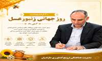 ثبت بیش از ۶۲۰ هزار کندوی عسل در سامانه پهنه‌بندی مازندران/ زنبورداری محور توسعه کشاورزی پایدار است