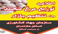 توزیع چهار تن مرغ منجمد تنظیم بازاری در نوشهر برای حمایت از مصرف‌کنندگان و تثبیت بازار