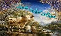 بهشهر در مسیر افزایش تولید شیر؛ ثبت ۶۰۵ تن تولید در طی دو ماه