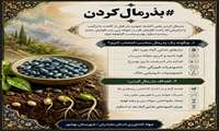بذرمال کردن 