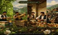 زنجیره ارزش تولید عسل در مازندران
