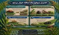 کنترل بیولوژیک کرم ساقه‌خوار برنج  قسمت اول