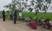 برگزاری کارگاه تخصصی مقابله با بیماری بلاست برنج در روستای عزیزک بابلسر