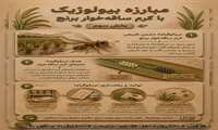 کنترل بیولوژیک کرم ساقه‌خوار برنج  قسمت سوم