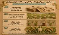 مبارزه بیولوژیک با کرم ساقه‌خوار برنج 