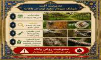 مدیریت آفت شپشک سپردار سفید توت