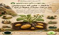  ۸ خـــــــردادماه  روز جهـــــــــــــانے سیب زمینے 