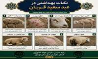 نکات بهداشتی عید قربان.... شماره 8