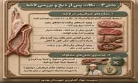 راهنمای بهداشتی عید سعید قربان نکات بهداشتی پس از ذبح و بررسی لاشه  شماره ۳