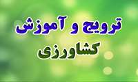 برگزاری ۱۶ برنامه آموزشی و ترویجی برای کشاورزان قائم‌شهر