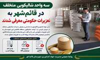 سه واحد شالیکوبی متخلف در قائم‌شهر به تعزیرات حکومتی معرفی شدند