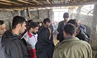برگزاری ۶ کارگاه آموزشی،۶خدمت متنوع و مرمت هفت کیلومتر جاده در مراتع سوادکوه