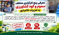 معرفی پنج کارگزاری متخلف سموم و کود کشاورزی به تعزیرات قائم‌شهر