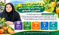 از آموزش تا ترویج؛ ۱۶ برنامه برای توانمندسازی کشاورزان قائم‌شهر
