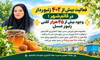 فعالیت بیش از ۴۰۲ زنبوردار در قائم‌شهر؛ وجود بیش از ۴۵ هزار کلنی زنبور عسل