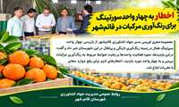 اخطار به چهار واحد سورتینگ برای ممنوعیت رنگ‌آوری مرکبات در قائم‌شهر
