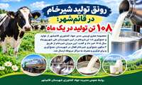 رونق تولید شیرخام در قائم‌شهر؛ ۱۰۸ تن تولید در یک ماه