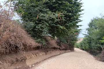 IMG_20260805_141700_182