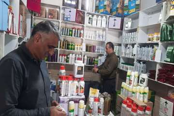 IMG_20260811_174437_342