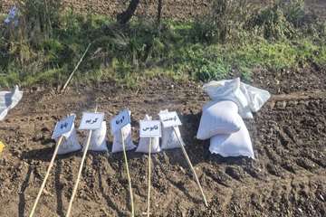 IMG_20260816_112437_710