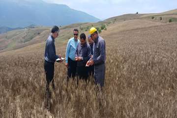 photo_2026-07-14_09-17-06