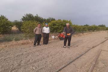 IMG_20260716_220139_283