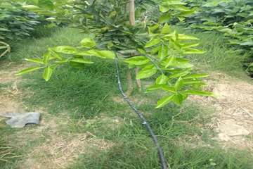 1b0852ac-3942-4dd1-9856-f7e3717094d2
