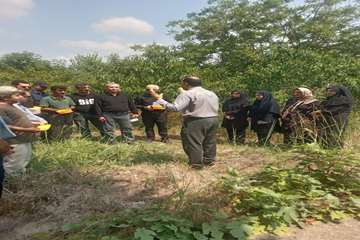 IMG_20260722_213052_793
