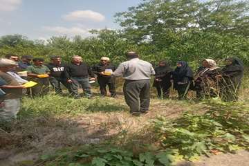 IMG_20260722_213056_482