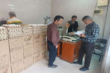photo28741433574