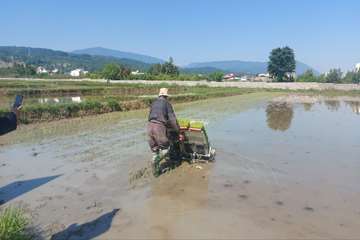photo27522354275