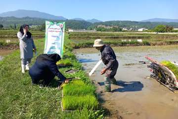 photo27523996880