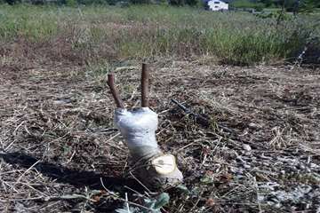 photo27540561777