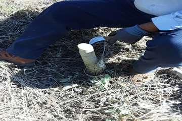 photo27540565291