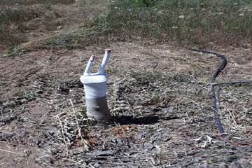 photo27540643466