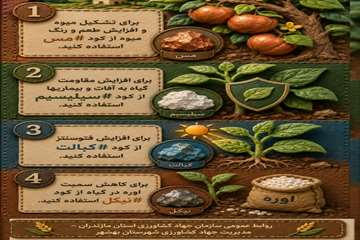 photo_2026-06-13_09-11-19ا