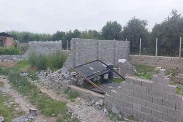 photo27861498528