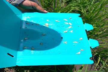 photo27787917613
