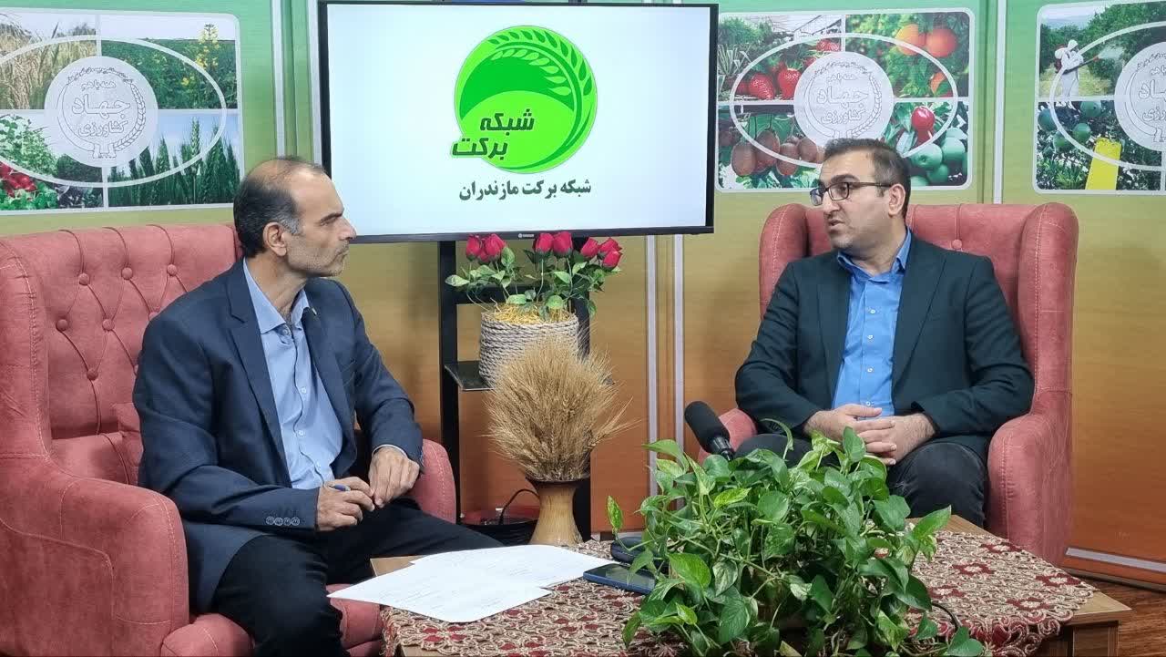 آموزش برخط کنترل تب برفکی؛ گامی مؤثر برای حفظ سلامت دام‌های مازندران