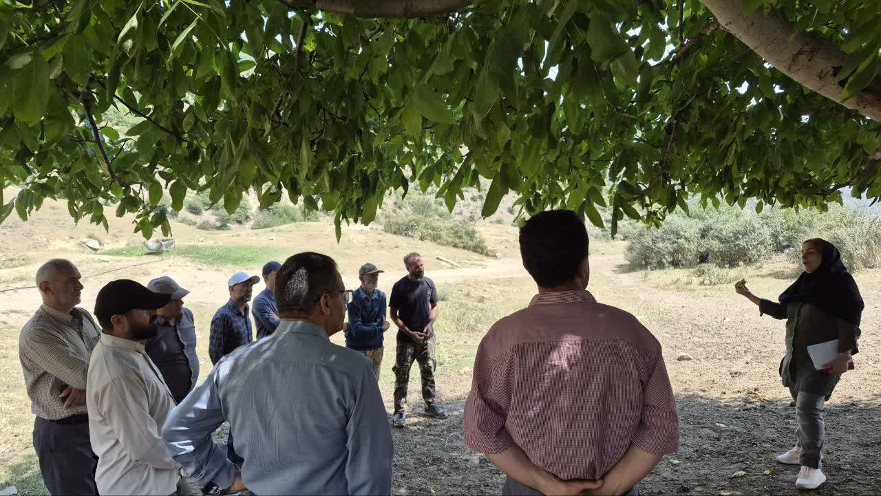 برگزاری دوره تخصصی دامداری در روستای دراسله سوادکوه/ ۳۰ خانوار عشایری تحت پوشش آموزشی قرار گرفتند