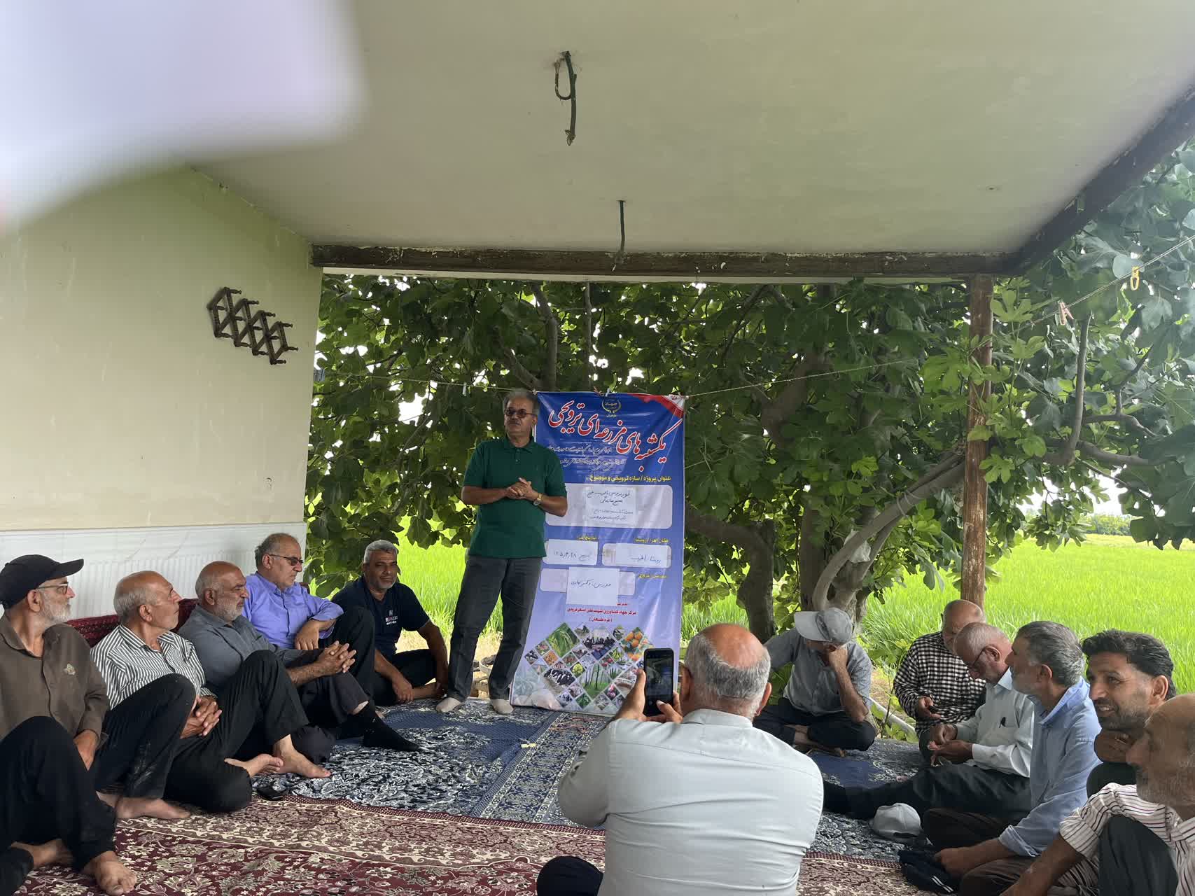 برگزاری تور ترویجی مزارع الگویی برنج در شهرستان نکا با هدف مدیریت آفات و بیماری‌ها